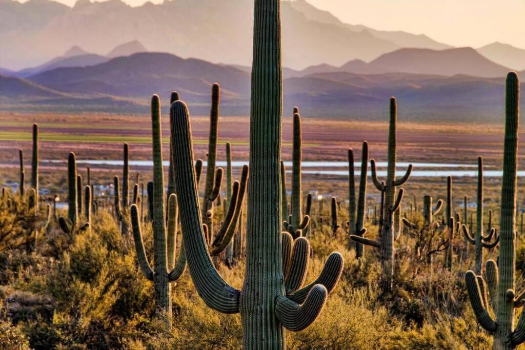 Tucson The Greens! 3Br Apt W/ Pool & Spa מראה חיצוני תמונה