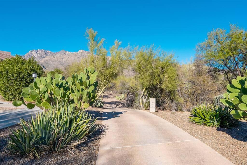 Tucson The Greens! 3Br Apt W/ Pool & Spa מראה חיצוני תמונה